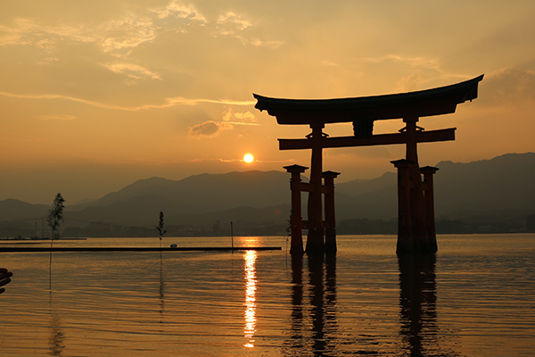 Torii