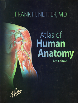 Boek